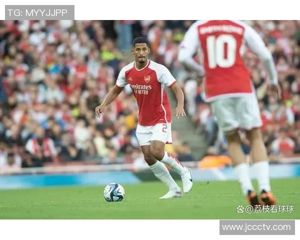 法国足球阿森纳球星的辉煌历程与未来展望解析